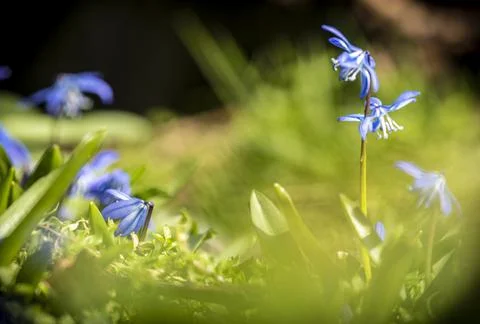 UK weather Temperature like spring Stock Photos