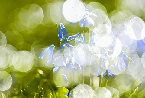 UK weather Temperature like spring Stock Photos