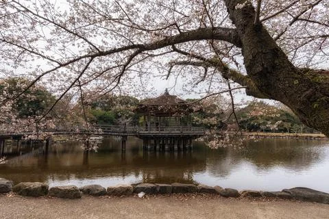 Ukimido pavilion in spring Stock Photos