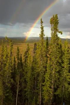 Ukon territory rainbow 스톡 사진