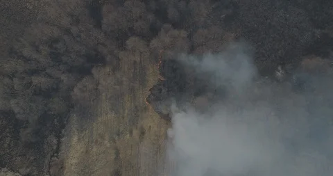 Ukr fire 01 Stock Footage 113426991