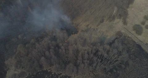 Ukr fire 12 Stock Footage 113447071
