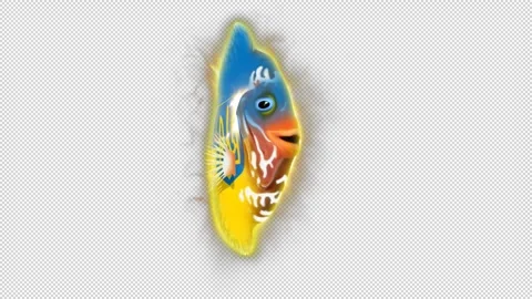 Ukraine alpha Stock Footage 259839849
