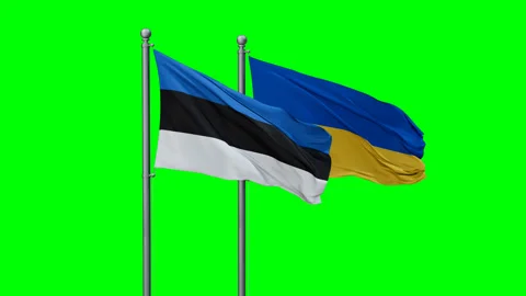 Ukraine and Estonia two flags Stock Footage 293206915