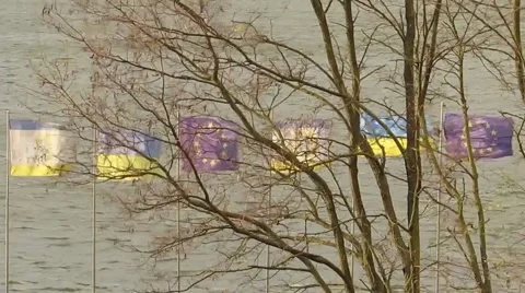 Ukraine and the EU flags in the wind and a tree in front Stock Footage 57782091