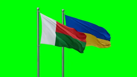 Ukraine and Madagascar two flags Stock Footage 295071549