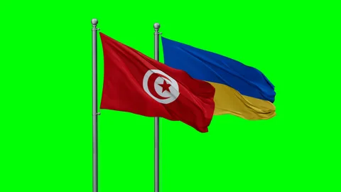 Ukraine and Tunisia two flags Stock Footage 292820029