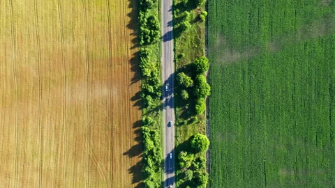 Ukraine. Breathtaking aerial view of the fields along the road. 4K, high quality Video stock 173764962