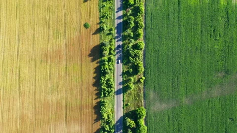 Ukraine. Breathtaking aerial view of the fields along the road. 4K, high quality Video stock 173768478