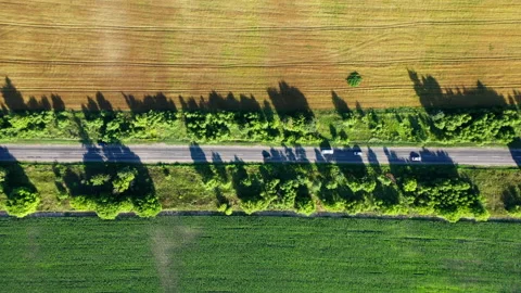 Ukraine. Breathtaking aerial view of the fields along the road. 4K, high quality Video stock 173775665