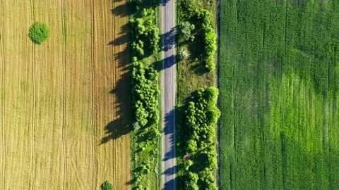 Ukraine. Breathtaking aerial view of the fields along the road. 4K, high quality Video stock 173779412