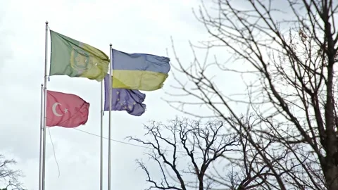 Ukraine. Bucha. War in Ukraine. Flagsof Ukraine Turkey and European Union Video stock 180121326
