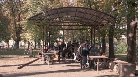 Ukraine Chess 1 Stock Footage 233036237