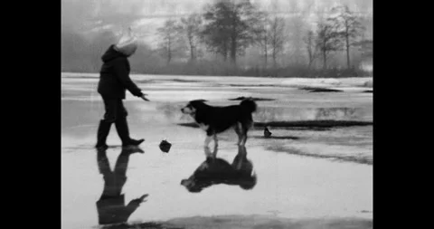 Ukraine - circa 1970s: boy and dog friendship on winter ice, 8mm scan Stock Footage 337462753