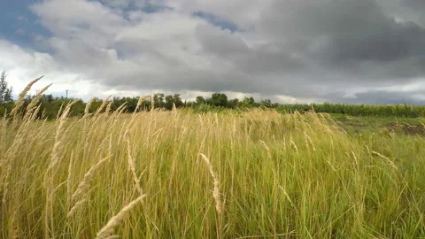 Ukraine. Clouds in the field. Stock-Footage 171346845