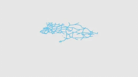 Ukraine Country Line Map Self Drawing Animated Overlay, Alpha 4K 스톡 동영상 340289301