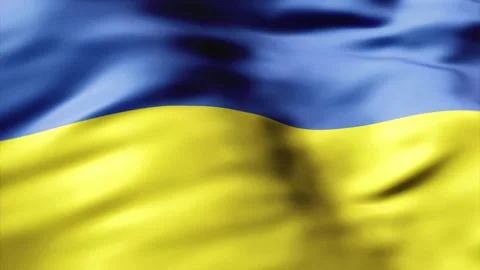 Ukraine Custom Flag Texture Background Stock Footage 320974061