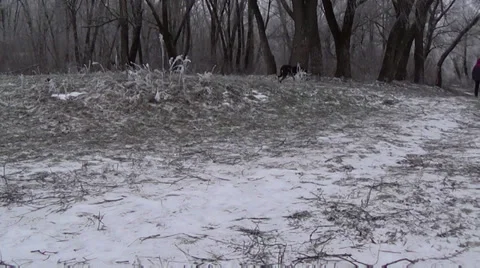 Ukraine, Desna river 스톡 동영상 33772123