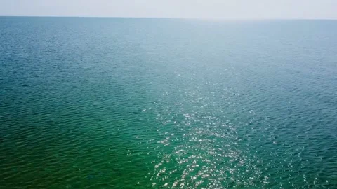 Ukraine Dolphins Stock Footage 166844838