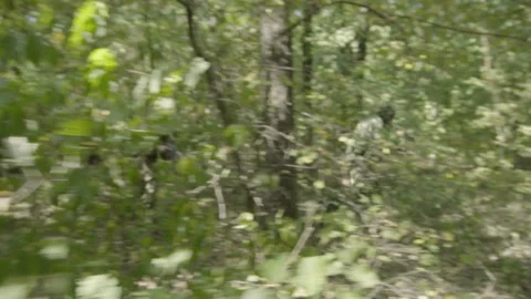 Ukraine, Donetsk. August 2017. A group of soldiers moves through the forest. Stock Footage 94568341