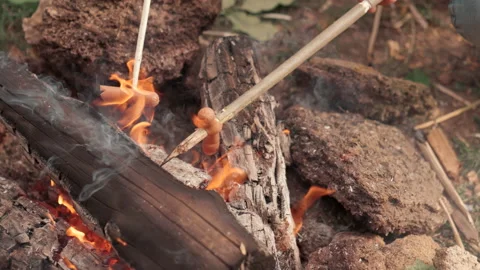 Ukraine Fire 5 Stock Footage 233036295