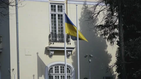 Ukraine flag 1 動画素材 171891220