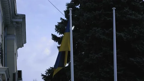 Ukraine flag 2 Stock Footage 171891226