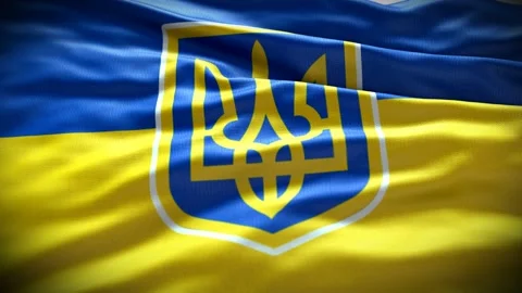 Ukraine flag and shield Vidéo 172217861