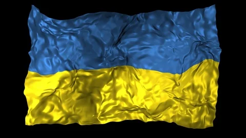 Ukraine flag Stock Footage 110864122
