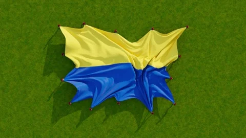 Ukraine flag 動画素材 201235434