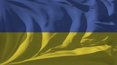 Ukraine Flag Loop Stock Footage 295751240