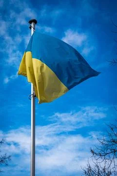Ukraine flag Stock Photos