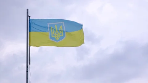 Ukraine flag with trident on a blue sky background at windy day. 스톡 동영상 112502733