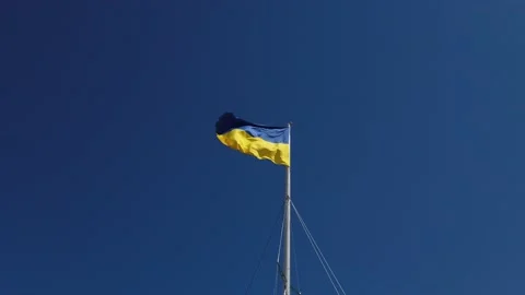 Ukraine flag waving in the wind with blue sky in background Stock Footage 177374850