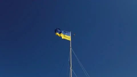 Ukraine flag waving in the wind with blue sky in background Stock Footage 177375110