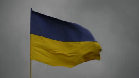 Ukraine flag waving in the wind, close up Stock Footage 195281872