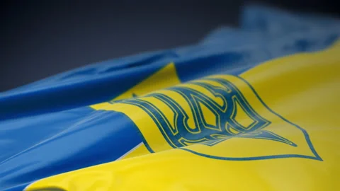 Ukraine Flag waving in the wind Stock Footage 238973138