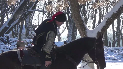 Ukraine, horse 스톡 동영상 34275738