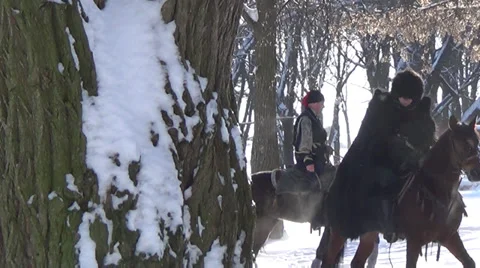 Ukraine, horse 스톡 동영상 34276437