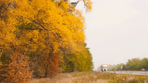 Ukraine, Kiev. Route E95. 10.10.18 A big truck is driving along a beautiful Stock Footage 101739797