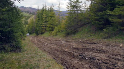 Ukraine May 2016 Carpathians Cordon Stock Footage 63876948