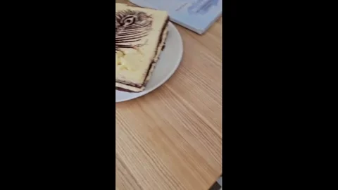 Ukraine: Raccoon struggles to pull cake from table in Ukraine Stock Footage 337185006
