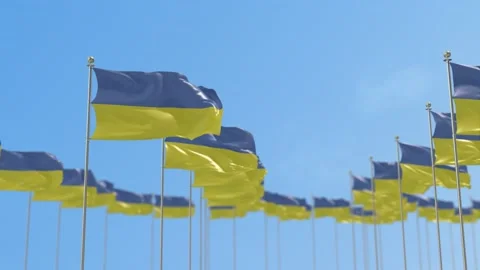 Ukraine  Row Of Flags Animation Видео 148802546
