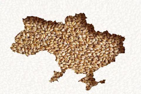 Ukraine shape map on wheat that is impossible to export. World grain crisis c Foto stock