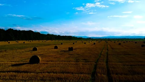 Ukraine  straw field in bales Stock Footage