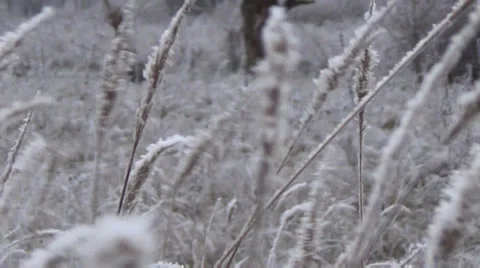 Ukraine, winter 動画素材 33772547