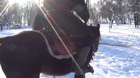 Ukraine, winter Stock Footage 34273650