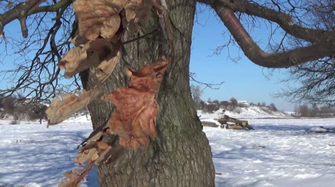 Ukraine, winter 스톡 동영상 34683447