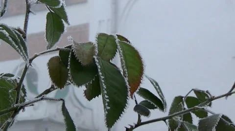 Ukraine's ancient churches 스톡 동영상 33742769