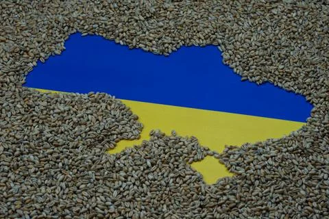 Ukraine's map attached with wheat grains around Stock Photos